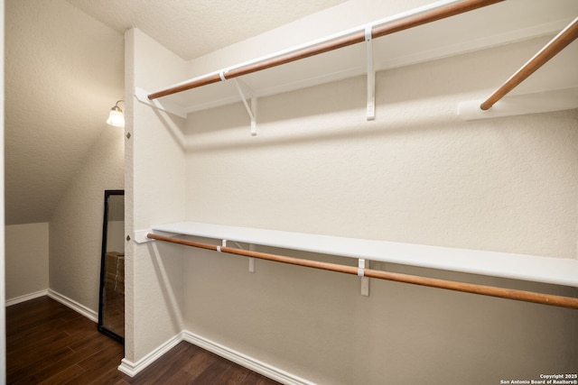 10438 Sun Ml, San Antonio, TX 78254 - spacious closet with dark wood finished floors
