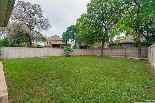 25725 Two Spgs, San Antonio, TX 78255 - view of yard