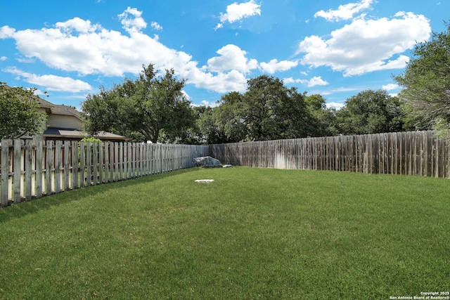 20607 Wild Spgs, San Antonio, TX 78258 - view of yard