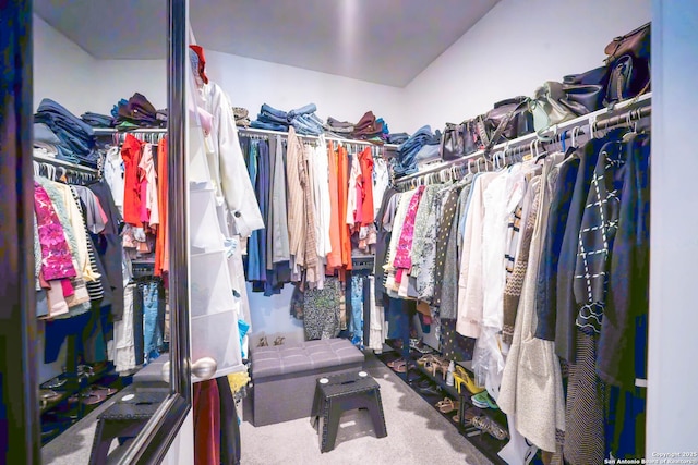 4919 Village Park, Marion, TX 78124 - walk in closet featuring carpet