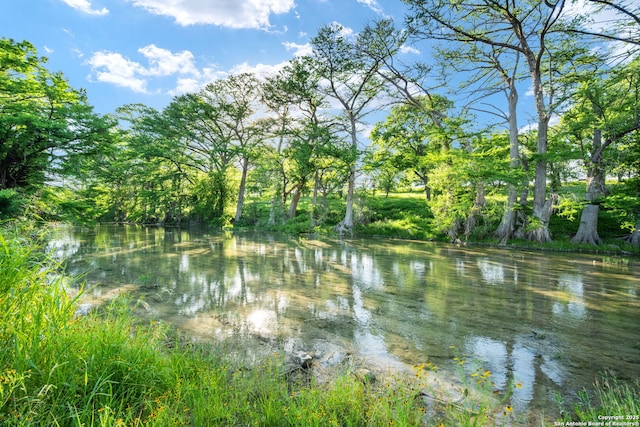 25 Zoeller Ln, Boerne, TX 78006 - water view featuring a forest