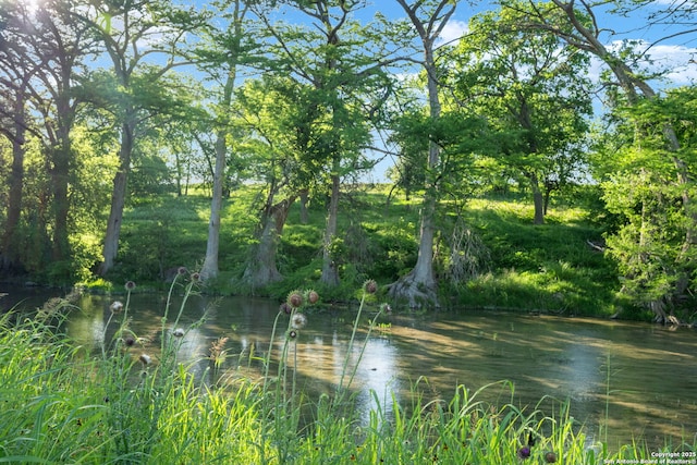 25 Zoeller Ln, Boerne, TX 78006 - water view