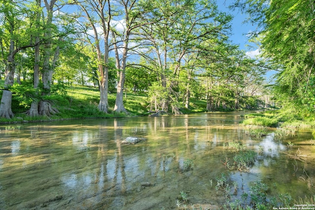 25 Zoeller Ln, Boerne, TX 78006 - water view