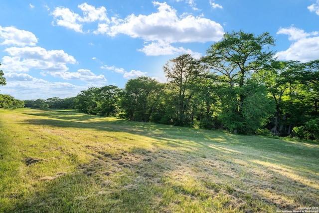 25 Zoeller Ln, Boerne, TX 78006 - view of green lawn with a view of trees