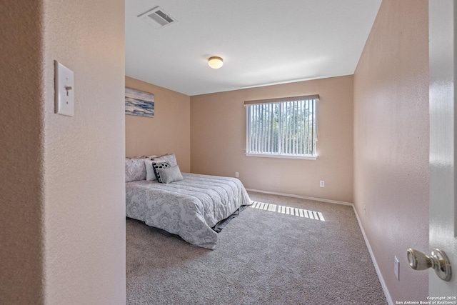 1427 Alaskan Wolf, San Antonio, TX 78245 - carpeted bedroom with baseboards and a textured wall