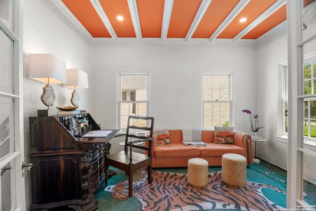 241 W Elsmere, San Antonio, TX 78212 - view of home office