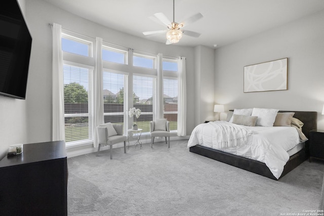 8823 Hideout, San Antonio, TX 78254 - bedroom featuring carpet floors and ceiling fan