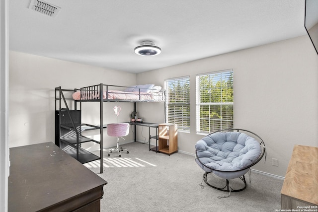 9702 Falcon Bay, Converse, TX 78109 - bedroom with carpet floors and baseboards