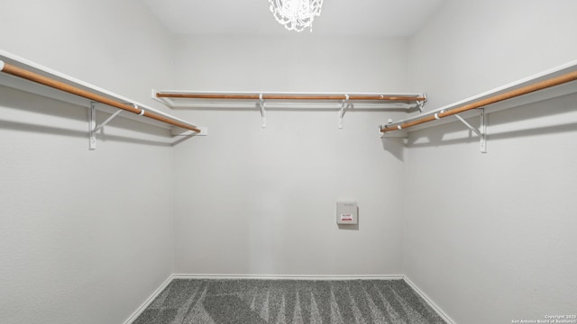 2253 Hidden Mdw, New Braunfels, TX 78130 - walk in closet with carpet floors and a chandelier