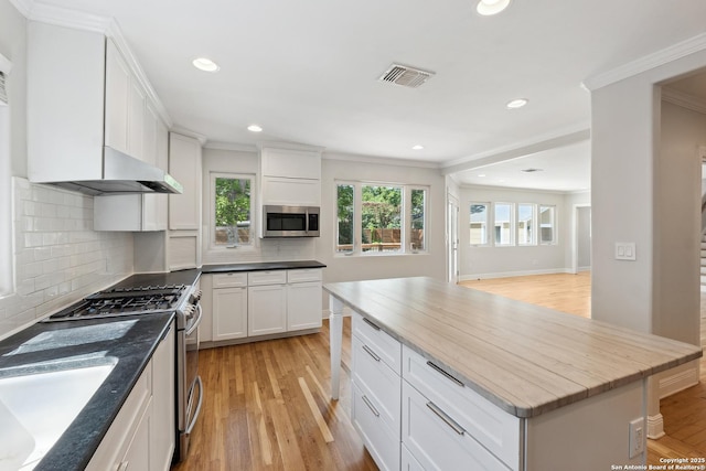129 Elmview, Alamo Heights, TX 78209 - kitchen with stainless steel appliances, ornamental molding, healthy amount of natural light, light wood-style floors, and recessed lighting