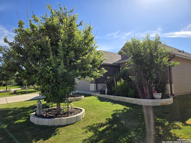 9334 Sundrop, San Antonio, TX 78254 - view of green lawn