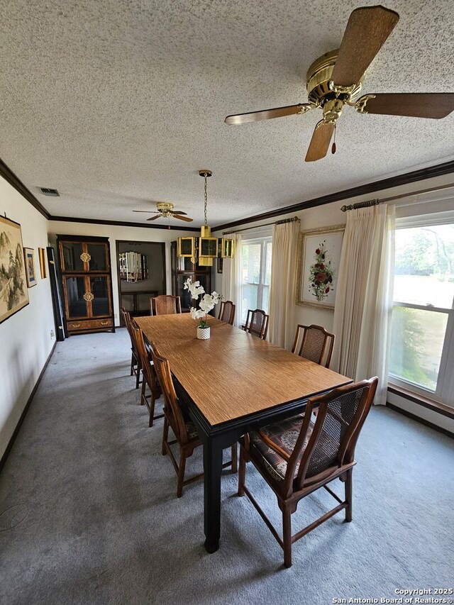 109 Cueva, Hollywood Park, TX 78232 - dining space with ceiling fan, crown molding, carpet flooring, and a textured ceiling