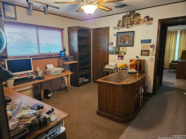 109 Cueva, Hollywood Park, TX 78232 - home office featuring carpet floors, ceiling fan, and a textured ceiling