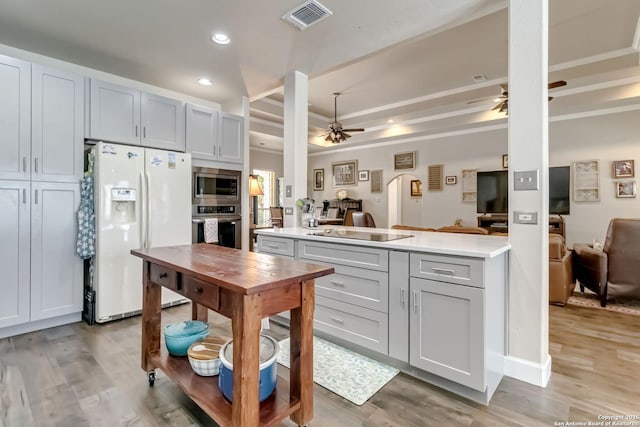 573 Mountain Oaks Dr, Canyon Lake, TX 78133 - kitchen featuring stainless steel appliances, a ceiling fan, open floor plan, light wood finished floors, and a peninsula