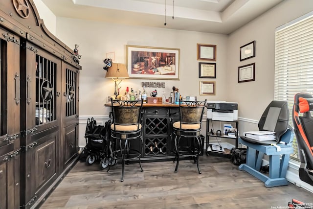 573 Mountain Oaks Dr, Canyon Lake, TX 78133 - indoor dry bar with wood finished floors and a raised ceiling