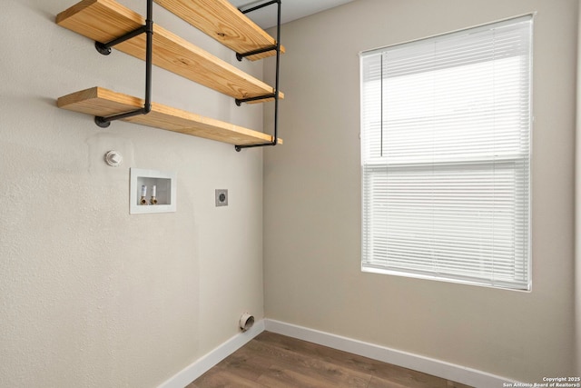 239 Surrey, San Antonio, TX 78225 - laundry room with washer hookup, hookup for an electric dryer, dark wood-style floors, and plenty of natural light