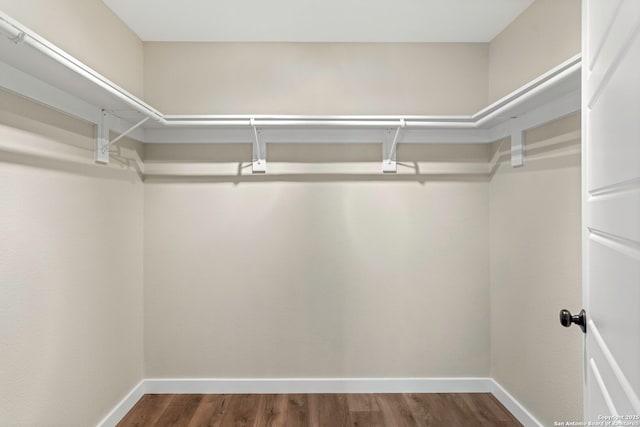 239 Surrey, San Antonio, TX 78225 - walk in closet with wood finished floors