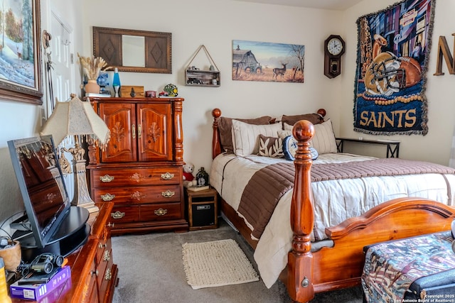 3351 Highline Trl, San Antonio, TX 78261 - view of carpeted bedroom