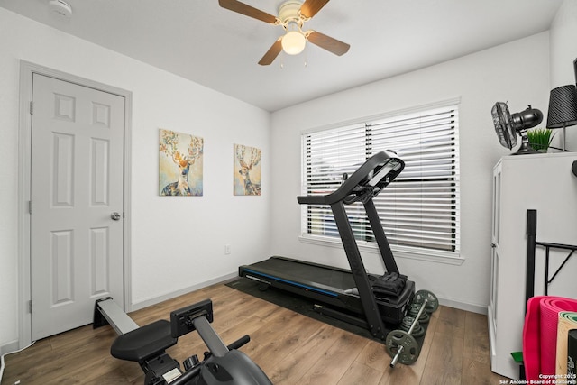 351 Barbara, San Antonio, TX 78216 - exercise area with ceiling fan, wood finished floors, and baseboards