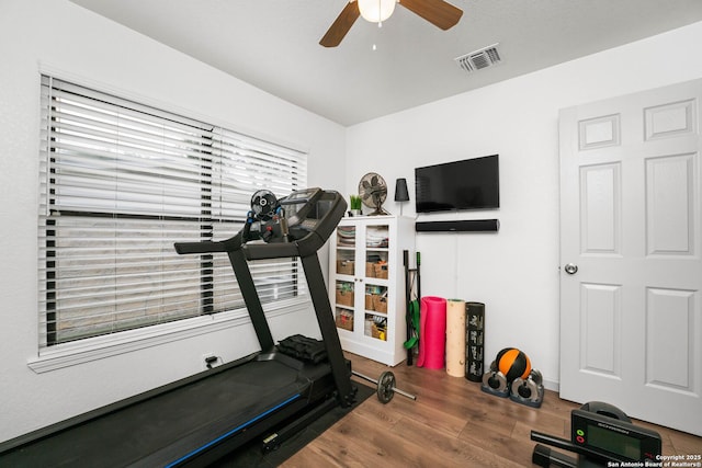 351 Barbara, San Antonio, TX 78216 - exercise room with ceiling fan and wood finished floors