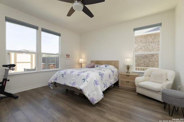 22363 Escalante Run, San Antonio, TX 78261 - bedroom with wood finished floors, multiple windows, ceiling fan, and baseboards