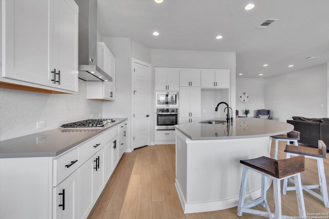 1624 Dirndl, New Braunfels, TX 78132 - kitchen with stainless steel appliances, a sink, wall chimney range hood, tasteful backsplash, and recessed lighting