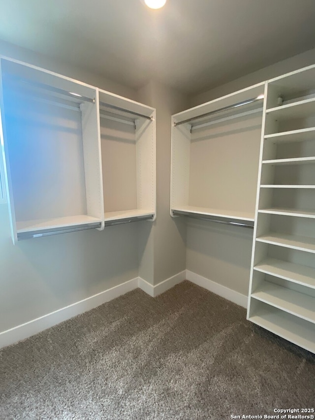 11111 Carlyle Spgs, Live Oak, TX 78233 - walk in closet featuring dark colored carpet