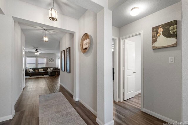 6038 Ballast Trl, New Braunfels, TX 78132 - hall featuring dark wood-style floors and baseboards