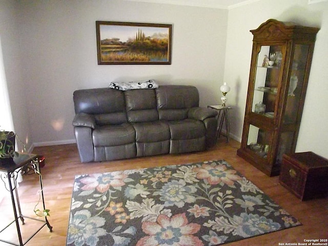 2300 Nacogdoches Unit 210C, San Antonio, TX 78209 - living room with baseboards, wood finished floors, and crown molding