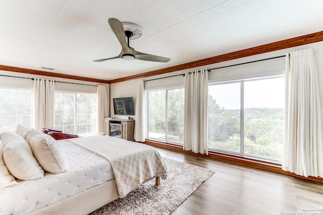 15021 Seven L Trl, Helotes, TX 78023 - bedroom featuring multiple windows, wood finished floors, crown molding, and ceiling fan