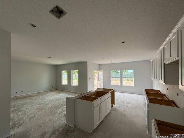 13726 Birch Xing, San Antonio, TX 78252 - kitchen with healthy amount of natural light, open floor plan, a kitchen island, and a textured ceiling