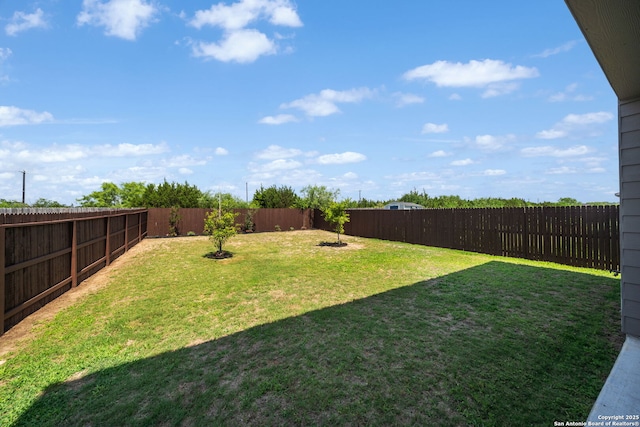9827 Western Sedge, San Antonio, TX 78254 - view of yard