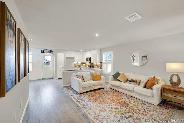1919 Goldfinch, New Braunfels, TX 78130 - living area featuring healthy amount of natural light, wood finished floors, recessed lighting, and baseboards