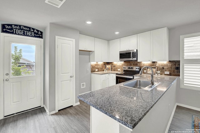 1919 Goldfinch, New Braunfels, TX 78130 - kitchen featuring stainless steel appliances, a sink, a peninsula, baseboards, and plenty of natural light