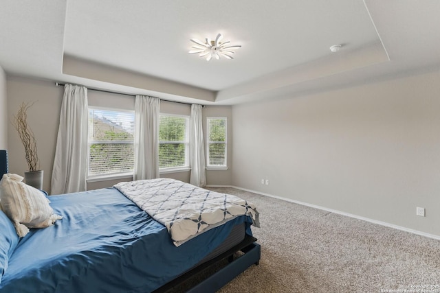 6739 Indian, San Antonio, TX 78253 - bedroom with a tray ceiling, carpet flooring, and baseboards