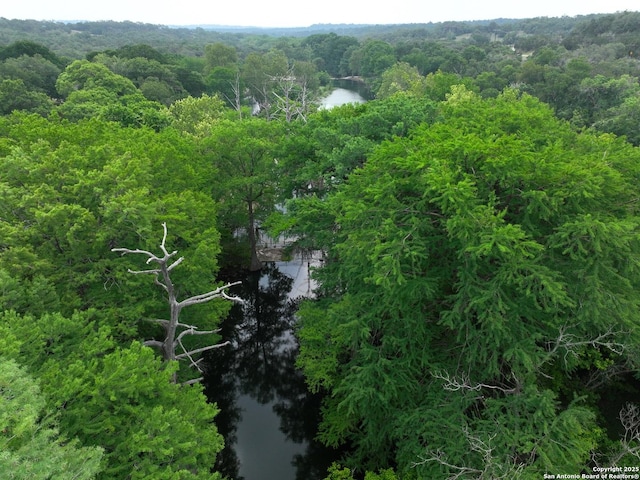 1119 Hidden Valley, Spring Branch, TX 78070