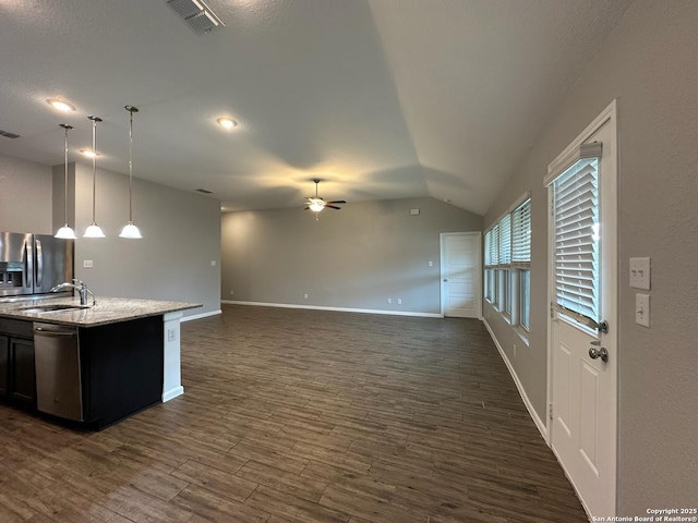 1116 Eagle, Seguin, TX 78155 - kitchen with stainless steel appliances, a ceiling fan, lofted ceiling, dark wood-style floors, and open floor plan