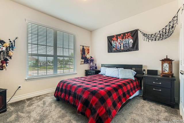 2215 Zachry, New Braunfels, TX 78132 - carpeted bedroom featuring baseboards