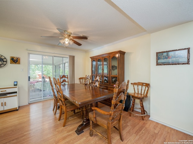 7815 Bypass Shls, San Antonio, TX 78244 - dining room with ceiling fan, light wood-type flooring, ornamental molding, a textured ceiling, and baseboards