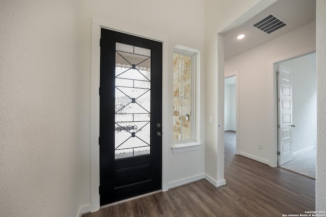103 Valencia, Boerne, TX 78006 - entryway with dark wood-style floors, baseboards, and plenty of natural light