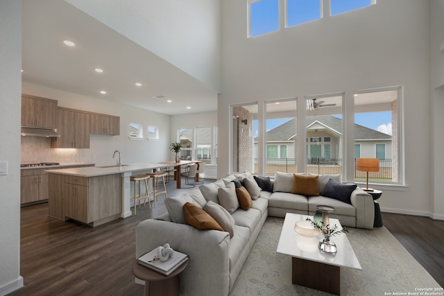103 Valencia, Boerne, TX 78006 - living area featuring dark wood-style flooring, a high ceiling, recessed lighting, and baseboards