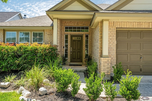 24931 Crescent Run, San Antonio, TX 78258 - doorway to property featuring brick siding, an attached garage, and a shingled roof