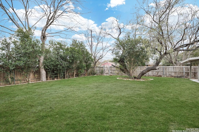 246 Bamburgh Dr, San Antonio, TX 78216 - view of yard