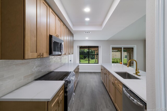 7927 Misty Park, San Antonio, TX 78250 - kitchen featuring stainless steel appliances, a sink, a tray ceiling, tasteful backsplash, and dark wood-type flooring