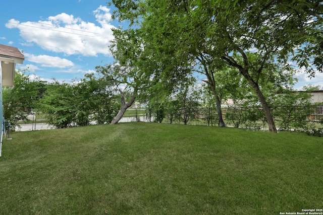 4207 Tallulah, San Antonio, TX 78218 - view of yard