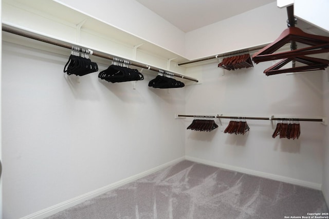 9569 Witten Dr, San Antonio, TX 78254 - walk in closet with carpet