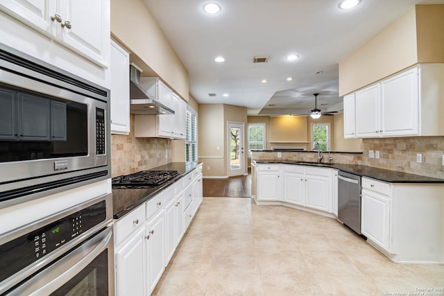 2426 Enfield Grove, San Antonio, TX 78231 - kitchen featuring stainless steel appliances, wall chimney range hood, a sink, recessed lighting, and a ceiling fan