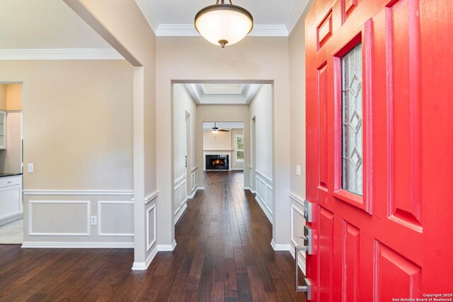 2426 Enfield Grove, San Antonio, TX 78231 - entrance foyer with dark wood-style floors, crown molding, a decorative wall, a warm lit fireplace, and wainscoting