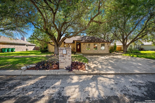 103 River Mdw, Castroville, TX 78009 - ranch-style house featuring brick siding and driveway