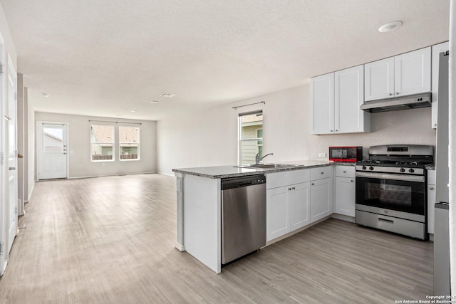 11947 Sand Wedge, San Antonio, TX 78221 - kitchen with stainless steel appliances, under cabinet range hood, open floor plan, light wood-style flooring, and a peninsula
